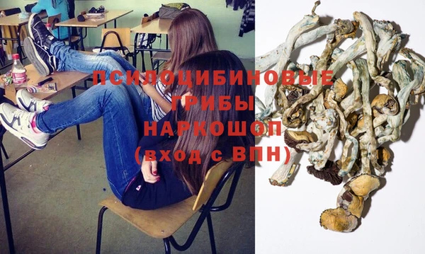 мяу мяу мука Магас