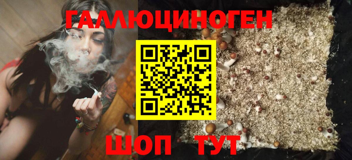 Псилоцибиновые грибы ЛСД Сарапул