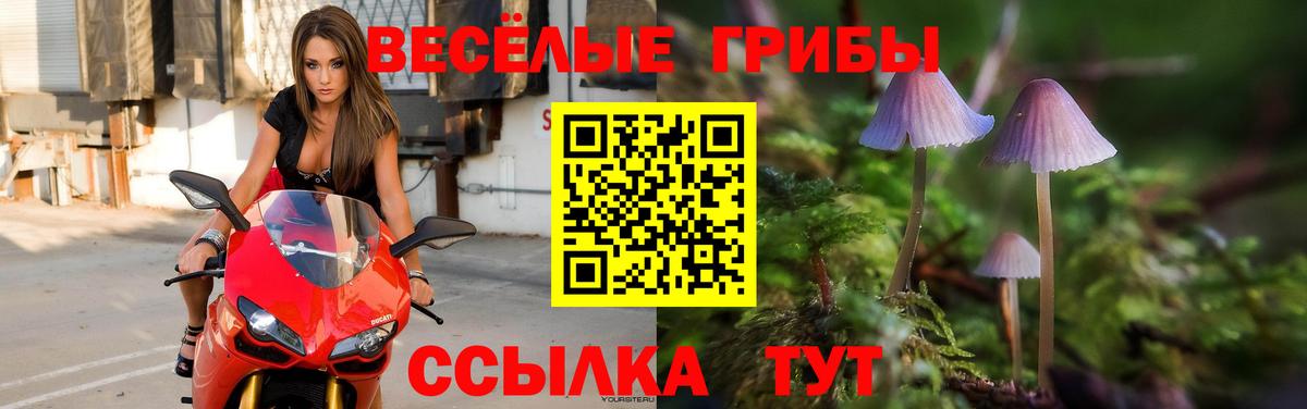 Галлюциногенные грибы Magic Shrooms  Вход с VPN  Галлюциногенные грибы Psilocybe  Сарапул 